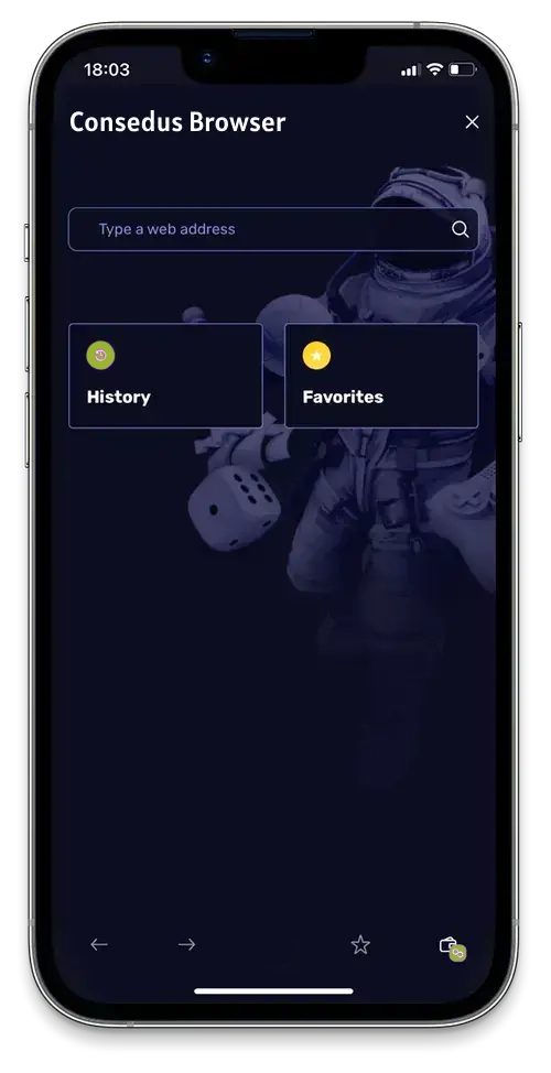 E-SEC WALLET browser page